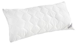 VANKÚŠ POD HLAVU, 40/80 cm Sleeptex - Prikrývky & vankúše