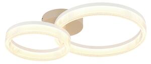 STROPNÉ LED SVIETIDLO, 50/33/12,3 cm - Interiérové svietidlá