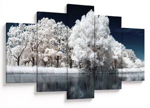 Obraz - Snehobiele stromy (150x105 cm)