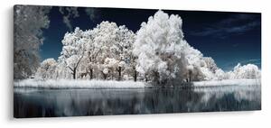 Obraz - Snehobiele stromy (120x50 cm)