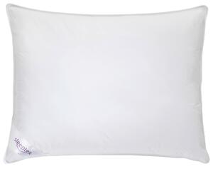 VANKÚŠ, 70/90 cm Sleeptex - Prikrývky & vankúše