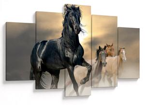 Obraz - Kone (150x105 cm)