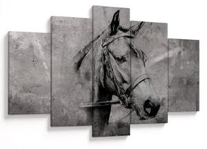 Obraz - Portrét koňa (150x105 cm)