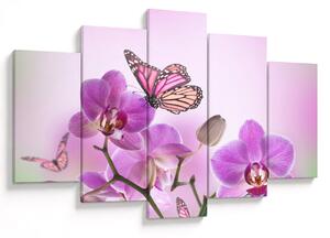Obraz - Motýľ na kvetoch orchidey, lila (150x105 cm)