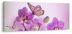 Obraz - Motýľ na kvetoch orchidey, lila (120x50 cm)