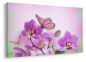 Obraz - Motýľ na kvetoch orchidey, lila (90x60 cm)