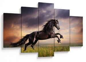 Obraz - Kone (150x105 cm)