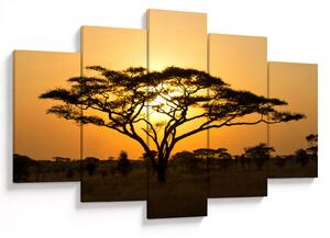 Obraz - Africká savana (150x105 cm)