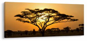 Obraz - Africká savana (120x50 cm)