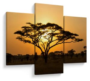Obraz - Africká savana (90x60 cm)