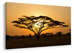 Obraz - Africká savana (90x60 cm)