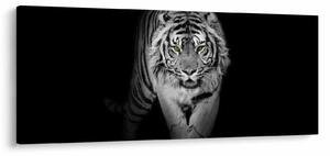 Obraz - Tiger so žltými očami (120x50 cm)