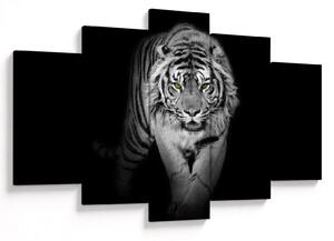 Obraz - Tiger so žltými očami (150x105 cm)