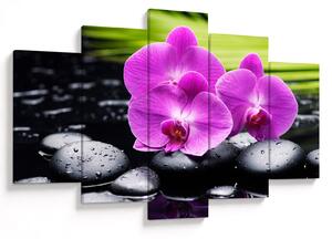 Obraz - Orchidey (150x105 cm)