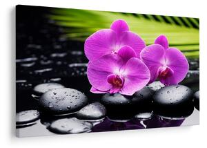Obraz - Orchidey (90x60 cm)