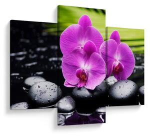 Obraz - Orchidey (90x60 cm)