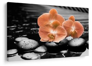 Obraz - Oranžové orchidey (90x60 cm)