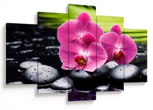 Obraz - Ružové orchidey s palmovým listom (150x105 cm)