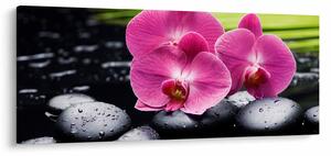 Obraz - Ružové orchidey s palmovým listom (120x50 cm)