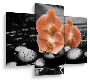 Obraz - Oranžové orchidey (90x60 cm)