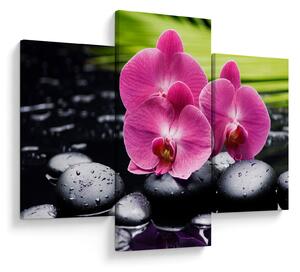 Obraz - Ružové orchidey s palmovým listom (90x60 cm)