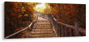 Obraz - Schody v prírode na jeseň (120x50 cm)