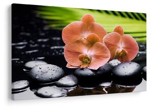 Obraz - Oranžová orchidea s palmovými listami (90x60 cm)