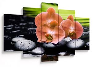 Obraz - Oranžová orchidea s palmovými listami (150x105 cm)