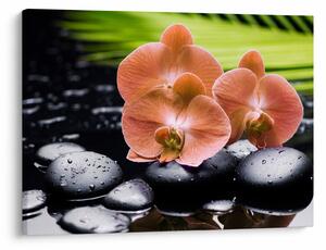 Obraz - Oranžová orchidea s palmovými listami (70x50 cm)