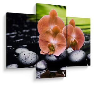Obraz - Oranžová orchidea s palmovými listami (90x60 cm)