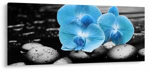 Obraz - Modrá orchidea (120x50 cm)