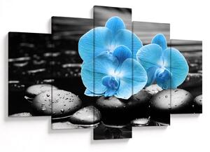 Obraz - Modrá orchidea (150x105 cm)