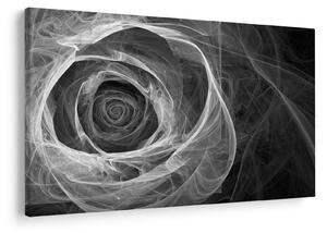 Obraz - Abstraktné ruže čiernobiela (90x60 cm)