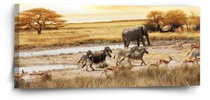 Sablio Obraz Safari - 110x50 cm