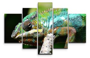 Sablio Obraz - 5-dílný Chameleón - 125x90 cm