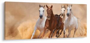 Obraz - Stádo koní (120x50 cm)