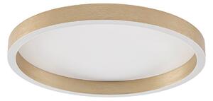 Stropné Lampa Lucande, Rotundo, stmievateľné, Zlatá / Mosadz, Obývacia izba, Plast, Moderný