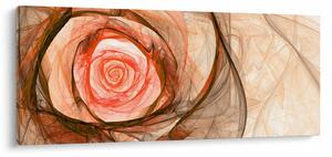 Obraz - Abstraktné ruže ružová s bielym pozadím (120x50 cm)