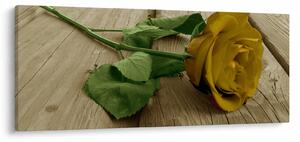 Obraz - Žltá ruža vintage (120x50 cm)