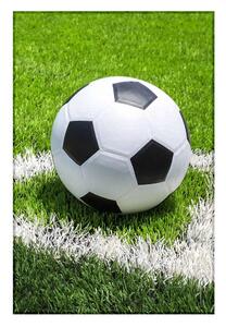 Jerry Fabrics Fleecová deka s motívom Futbal - 100 x 150 cm