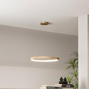 LED závesné svietidlo Niike, zlatá, Ø 50 cm, kov,, Mosadz / zlato, Obývacia izba / jedáleň, kov, Moderný, Závesné svietidlo