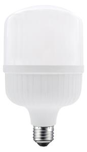 ACA Lighting LED žiarovka E27, 28W, 2970lm, IP65 Farba svetla: Denná biela [P9928NW]