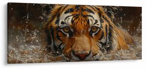 Obraz - Portrét tigra vo vode (120x50 cm)