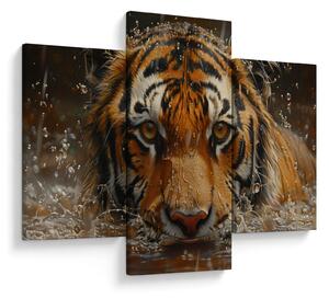 Obraz - Portrét tigra vo vode (90x60 cm)