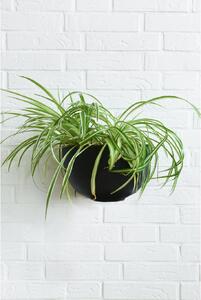 Kvetináč na stenu MEDIO, sklolaminát, šírka 29 cm, čierna
