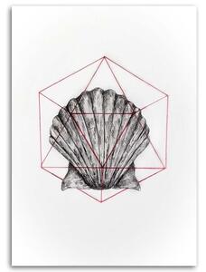 Obraz na plátne Geometrická škrupina - Jan Perit Kablan Rozmery: 40 x 60 cm