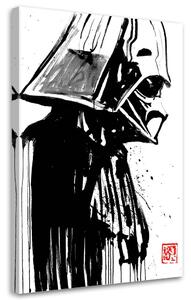 Obraz na plátne Star Wars, Darth Vader - Péchane Rozmery: 40 x 60 cm