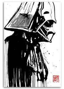 Obraz na plátne Star Wars, Darth Vader - Péchane Rozmery: 40 x 60 cm
