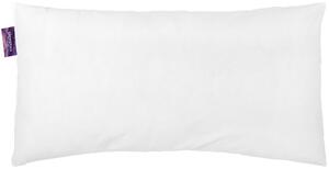 VÝPLŇOVÝ VANKÚŠ 40/80 cm Sleeptex - Textil do domácnosti