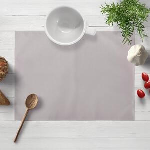 Biante Zamatové prestieranie na stôl SV-011 Svetlo sivé - 30x40 cm - SKLADOM